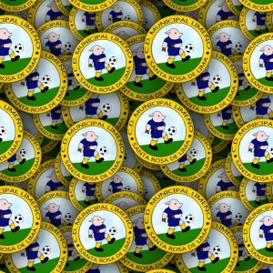 Municipal Limeno