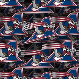 Montreal Alouettes 22