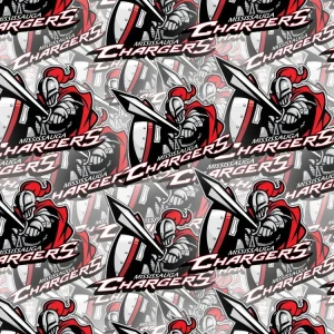 Mississauga Chargers