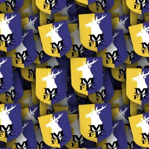 Mansfield Town FC