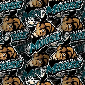 Manitoba Moose 24