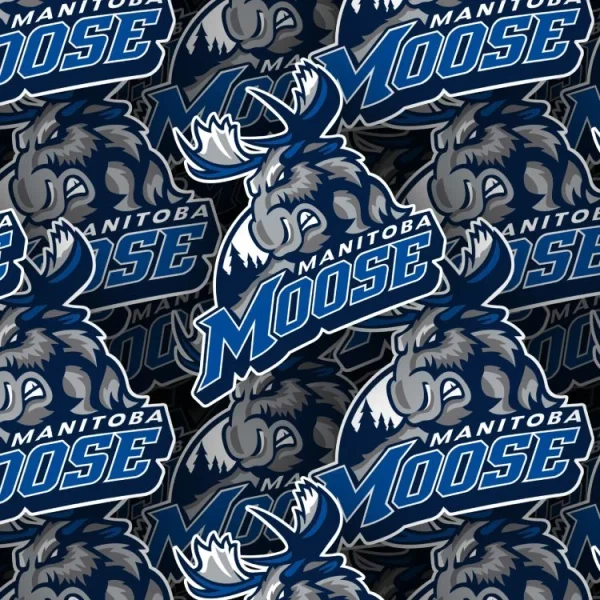 Manitoba Moose 22