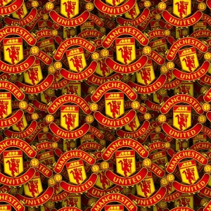 Manchester United FC 22