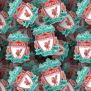Liverpool FC 22