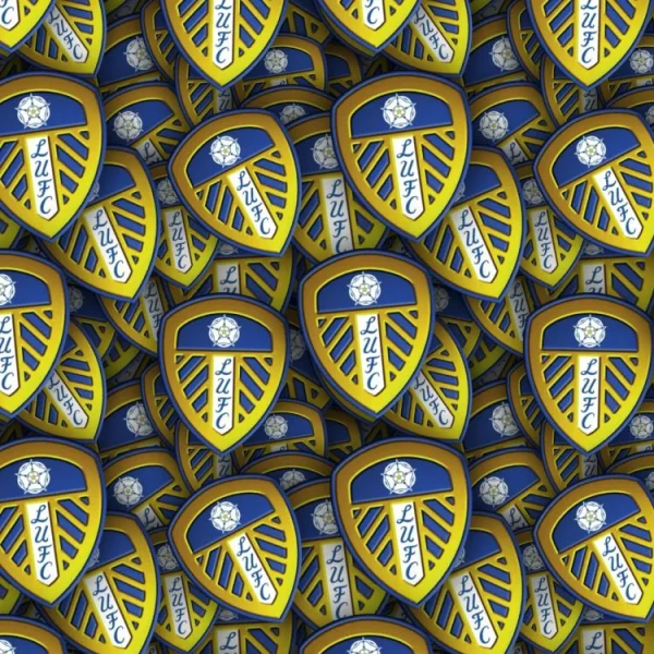 Leeds United FC 22