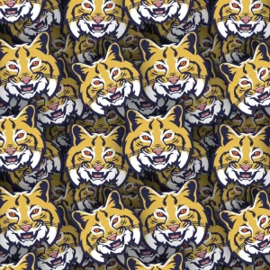 Leeds Bobcats