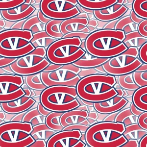 Kingstone Voyageurs 23