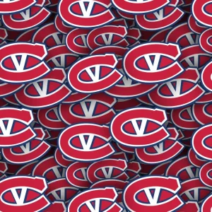 Kingstone Voyageurs 22