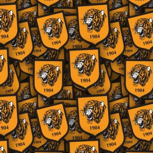 Hull City