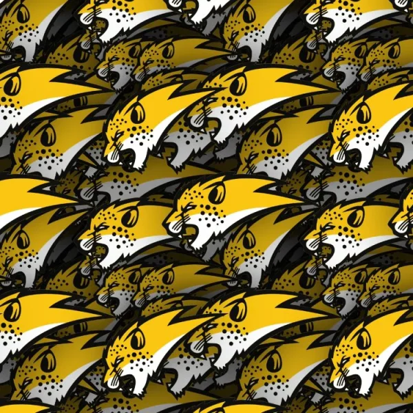 Hertfordshire Cheetahs