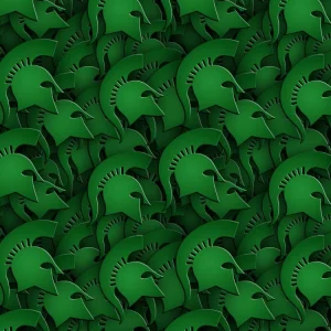 Halton Spartans
