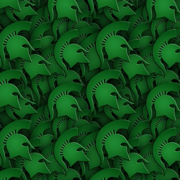 Halton Spartans