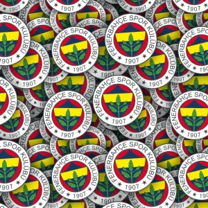 Fenerbahce