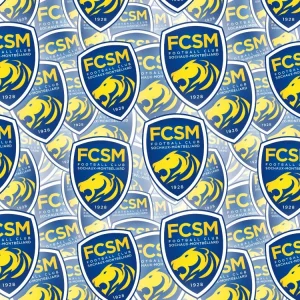 FC Sochaux-Montbeliard