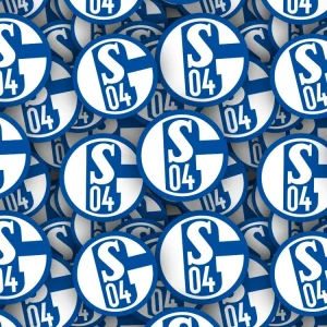 FC Schalke 04