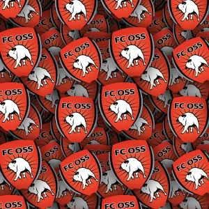 FC Oss