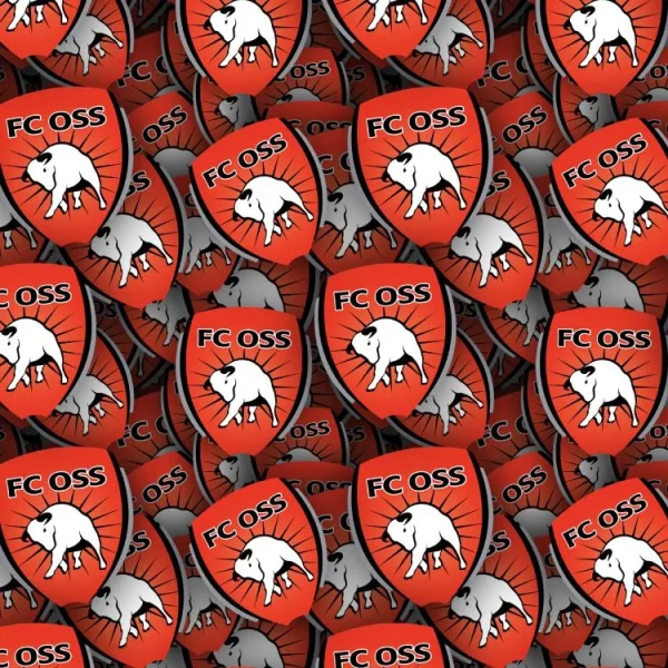 FC Oss