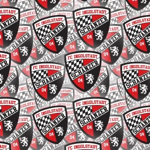 FC Ingolstadt 04