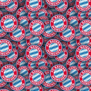 FC Bayern Munchen 22