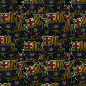 FC Barcelona 24