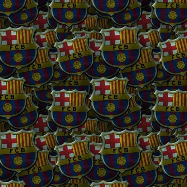 FC Barcelona 24