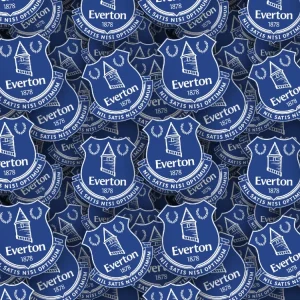 Everton FC 22