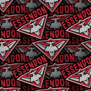 Essendon FC