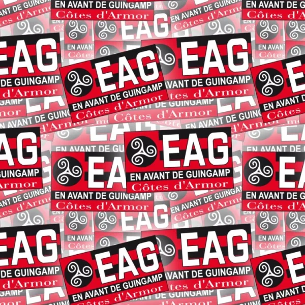 En Avant de Guingamp