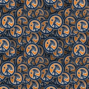 Edmonton Oilers 26