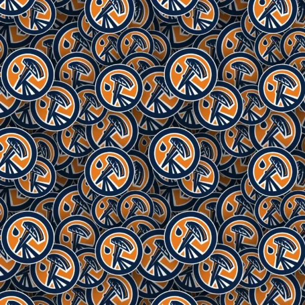 Edmonton Oilers 26