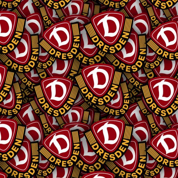 Dynamo Dresden mit 2.000 Fans zum Spiel nach Saarbrücken