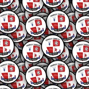 Crawley Town FC