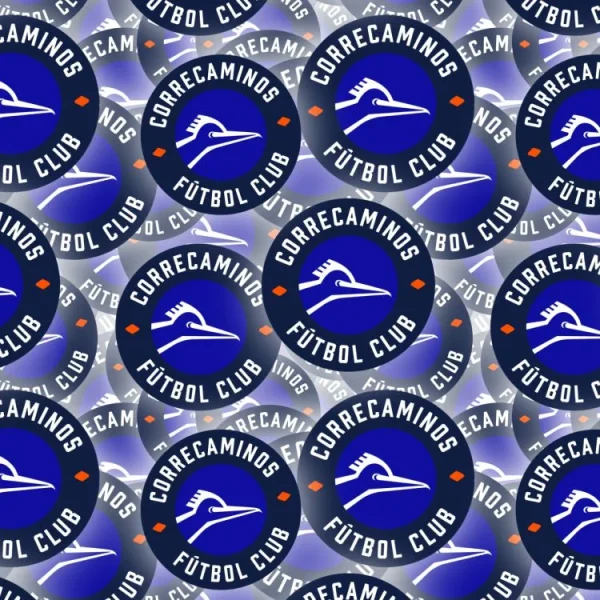 Correcaminos FC