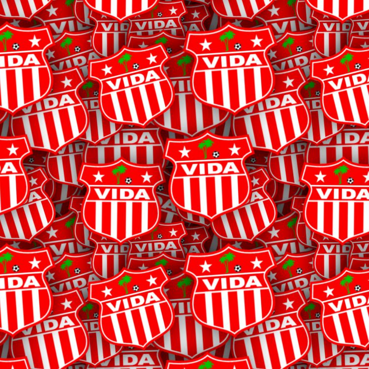 CD Vida Pattern Crew