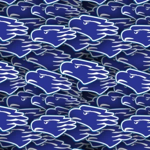 CD Motagua
