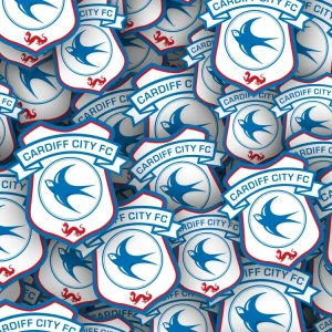 Cardiff City FC