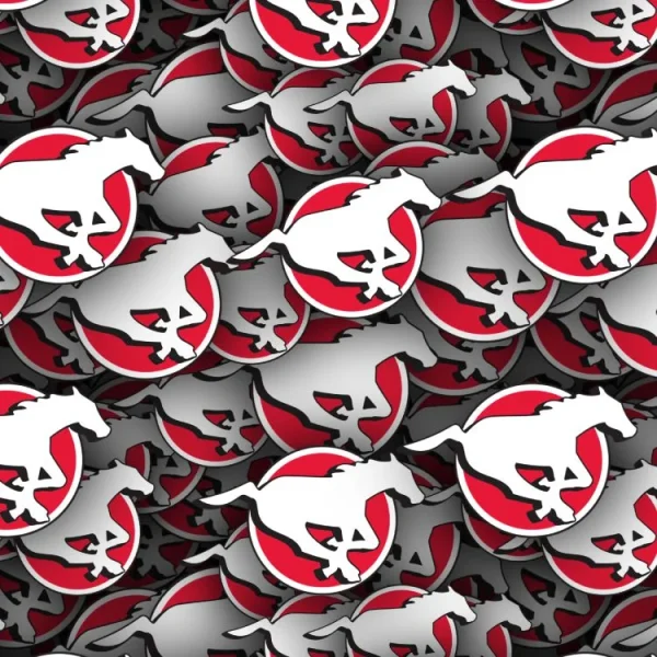 Calgary Stampeders
