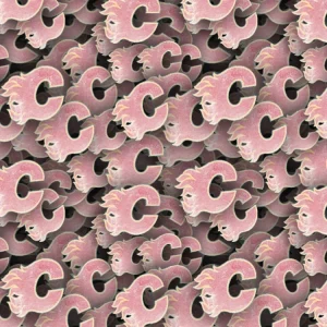 Calgary Flames 23