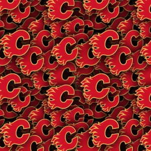 Calgary Flames 22