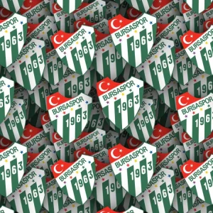 Bursaspor