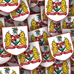 Bristol City FC