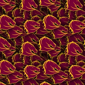 Brisbane Broncos