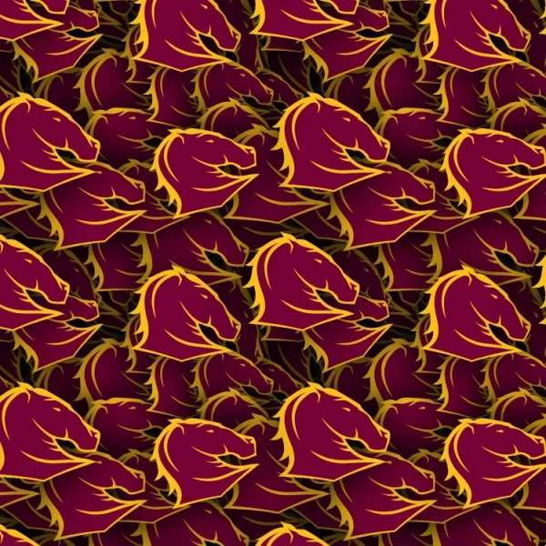 Brisbane Broncos