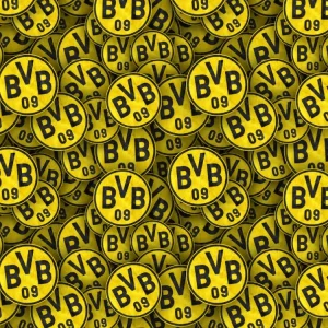 Borussia Dortmund 22