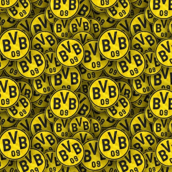 Borussia Dortmund 22