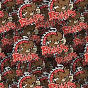 Blind River Beavers