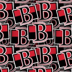 Belleville Senators