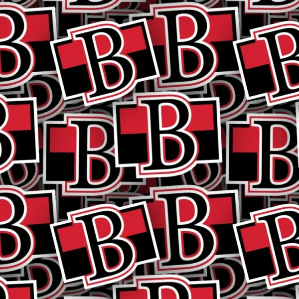 Belleville Senators