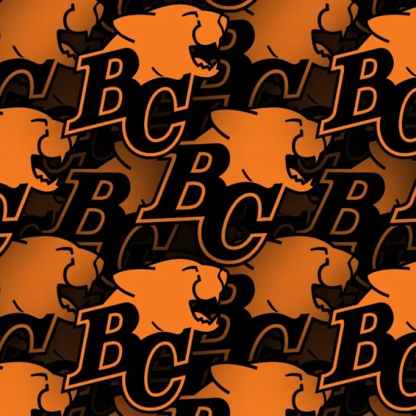 BC Lions 22