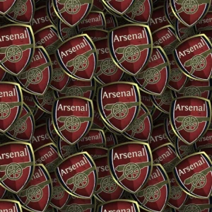 Arsenal FC 24